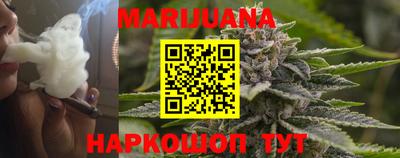 шишки Камышлов