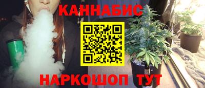 шишки Камышлов
