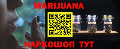 шишки Камышлов