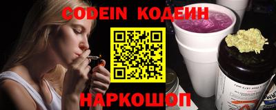 шишки Камышлов