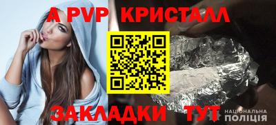 шишки Камышлов