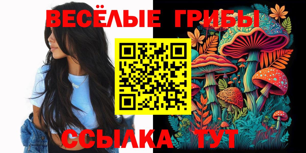 Галлюциногенные грибы Cubensis Куйбышев